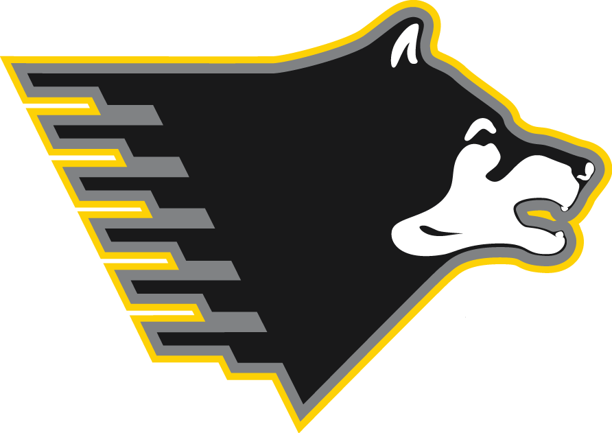 Michigan Tech Huskies 2005-Pres Partial Logo iron on transfers for T-shirts